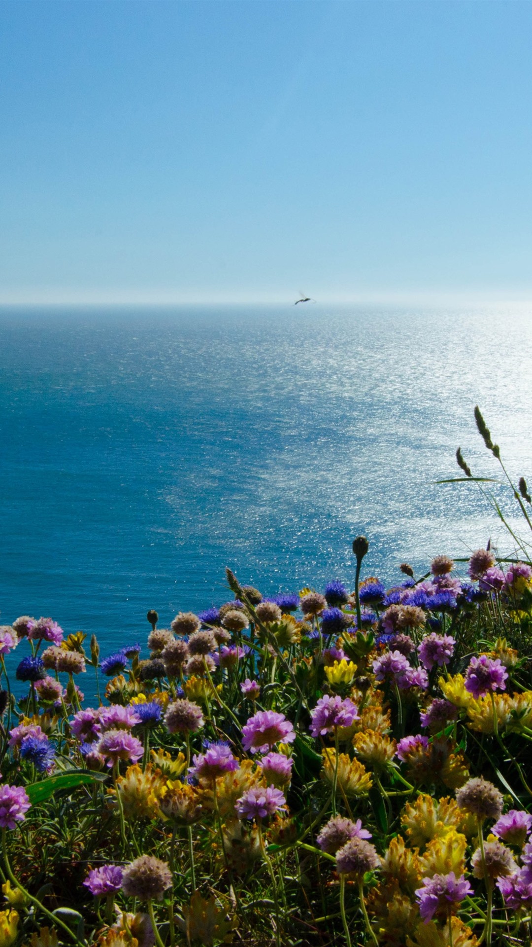 aoa体育新闻-包含爱尔兰战胜威尔士，出线希望渐升的词条