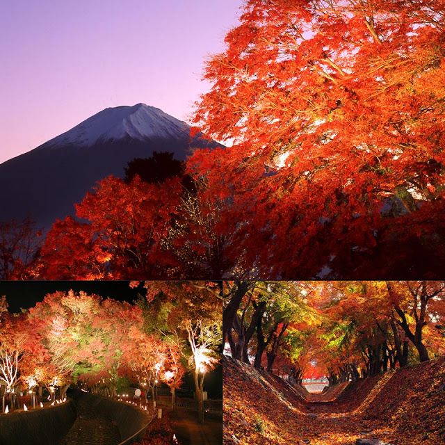 东京水原大阪大胜,七场不败的简单介绍 东京水原大阪大胜,七场不败的简单介绍